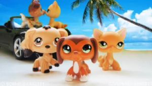 Littlest Pet Shop: Popular's poster