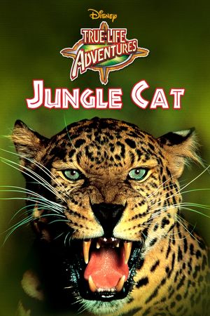 Jungle Cat's poster