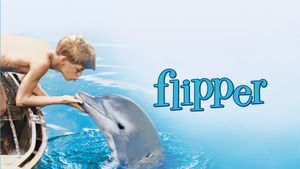 Flipper's poster