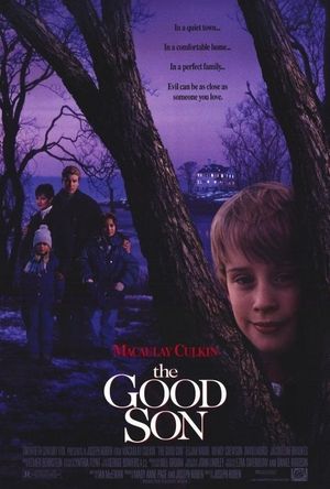 The Good Son's poster