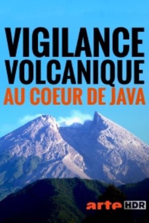 Java in Jeopardy - Exploring the Volcano's poster