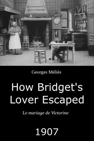 How Bridget's Lover Escaped's poster image