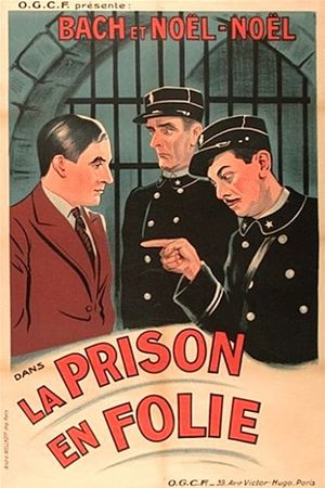 La prison en folie's poster