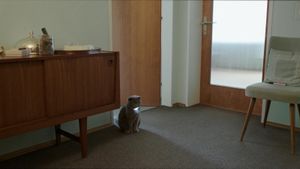 All Cats Are Grey in the Dark's poster