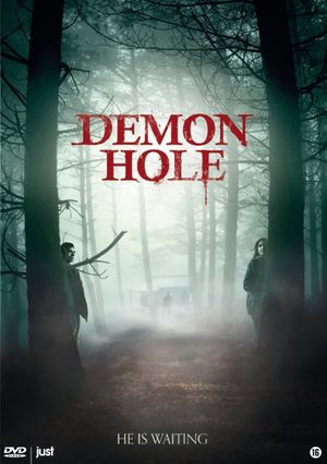 Demon Hole's poster