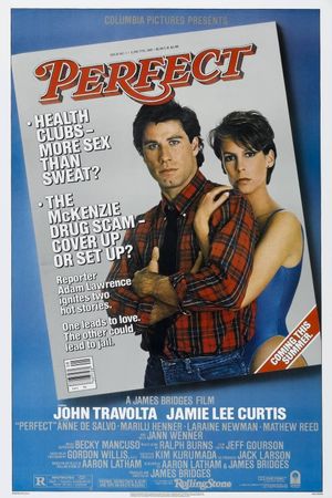 Perfect's poster