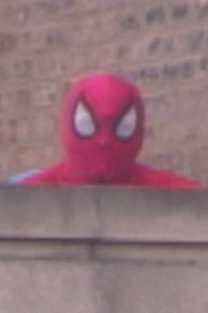 Comes Great Responsibility's poster