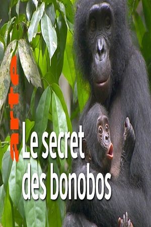 La vie cachée des bonobos's poster