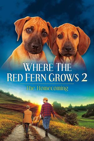 Where The Red Fern Grows Part 2's poster