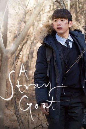 A Stray Goat's poster