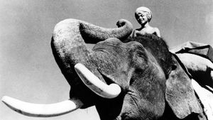 Elephant Boy's poster