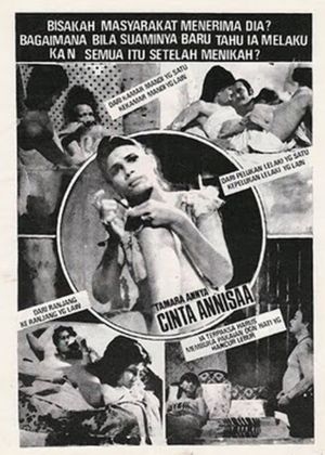 Cinta Annisa's poster