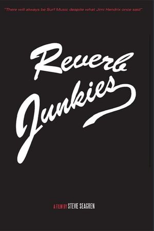 Reverb Junkies's poster