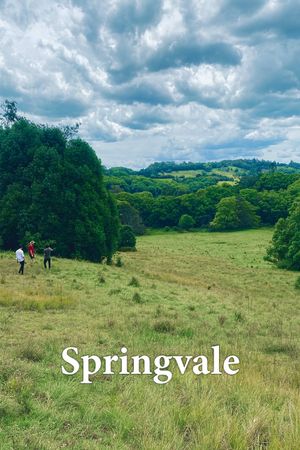 Springvale's poster image