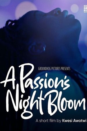 A Passion's Night Bloom's poster