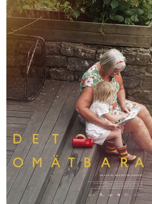 Det omätbara's poster