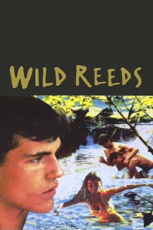 Wild Reeds's poster image