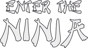 Enter the Ninja's poster
