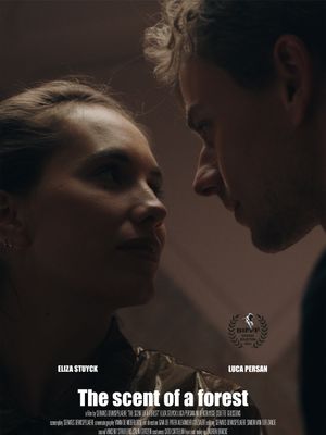 The scent of a forest's poster