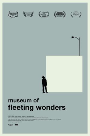 Museum of Fleeting Wonders's poster image