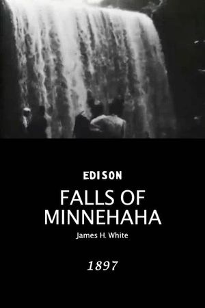 Falls of Minnehaha's poster