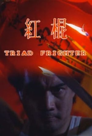 Triad Fighter's poster