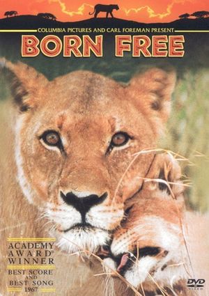 Born Free's poster