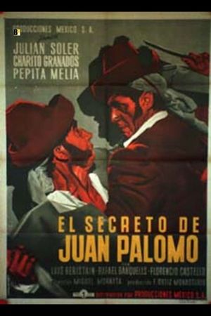 El secreto de Juan Palomo's poster