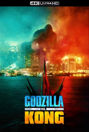 Godzilla vs. Kong's poster
