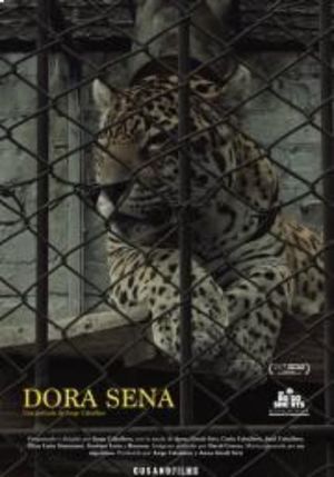 Dora Sena's poster