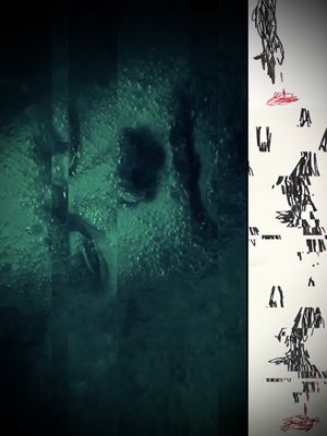 Three Wolves's poster