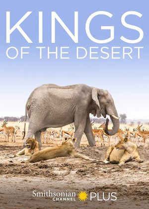 Desert Lions's poster