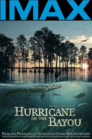 Hurricane on the Bayou's poster image