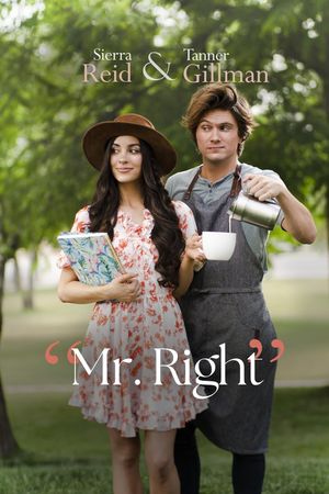 Mr. Right's poster