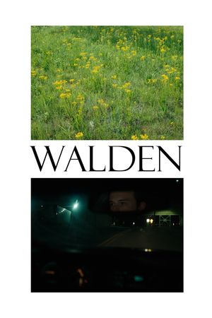 Walden's poster