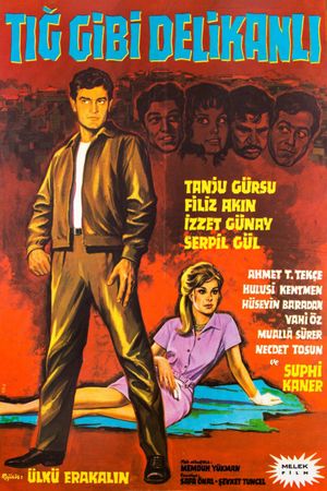 Tig gibi delikanli's poster