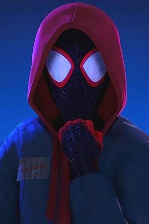 Spider-Man: Into the Spider-Verse's poster
