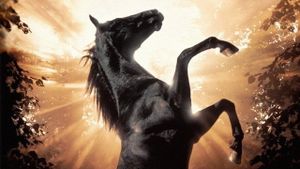 Black Beauty's poster