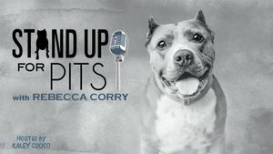 Stand Up for Pits with Rebecca Corry's poster