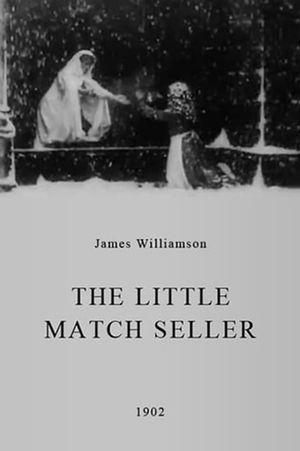 The Little Match Seller's poster