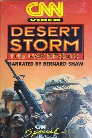 Desert Storm: The War Begins's poster image