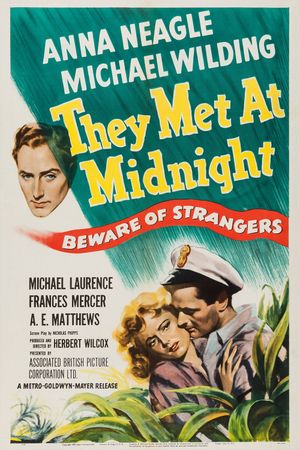 They Met at Midnight's poster image
