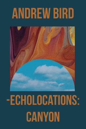 Echolocations: Canyon's poster