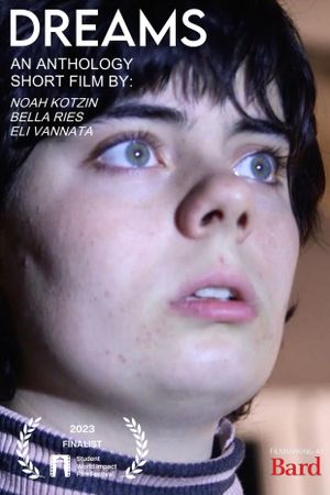 Dreams's poster