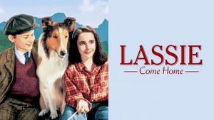 Lassie Come Home's poster