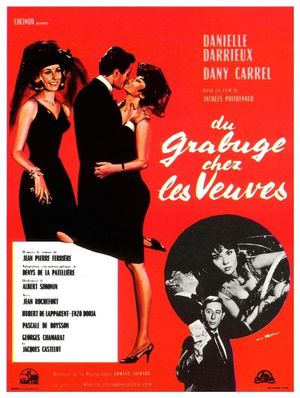 Trouble Among Widows's poster