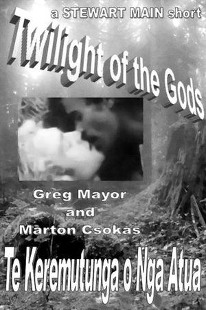 Twilight of the Gods's poster