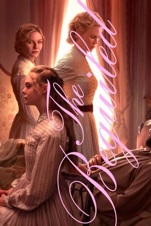 The Beguiled's poster