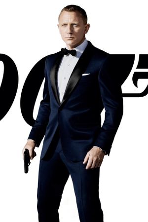 Skyfall's poster