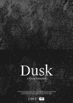 Dusk's poster